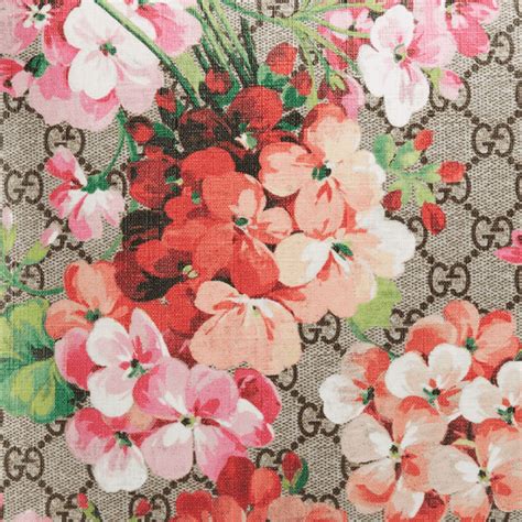 gucci floral art print|gucci floral print wallpaper.